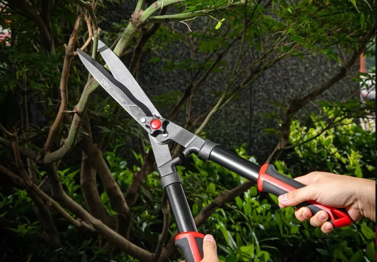 Maximize Gardening Pruning with High-Quality Shears - 翻译中...