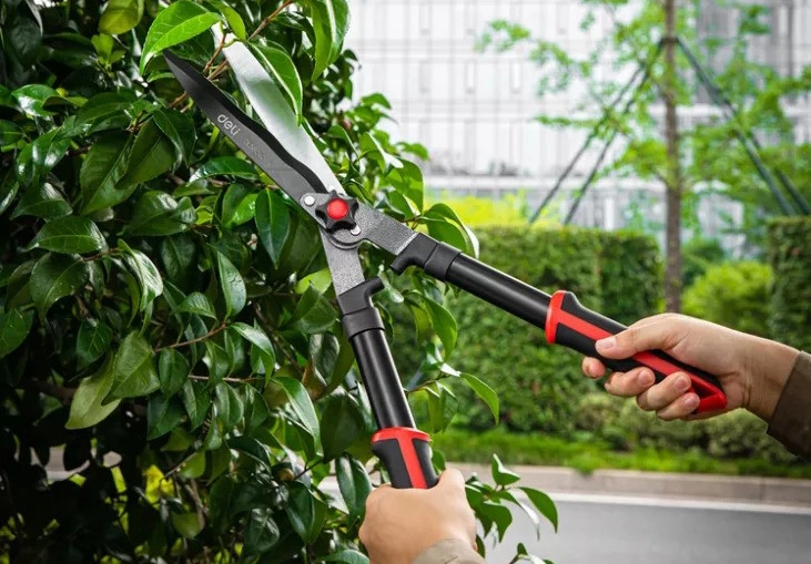 Garden Tool - Essential Equipment for the Horticulture Enthusiast - 翻译中...